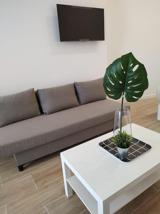 Nuevo Loft En Playa Y Cerca Del Centro, Ac Y Wifi Lejlighed Valencia Eksteriør billede
